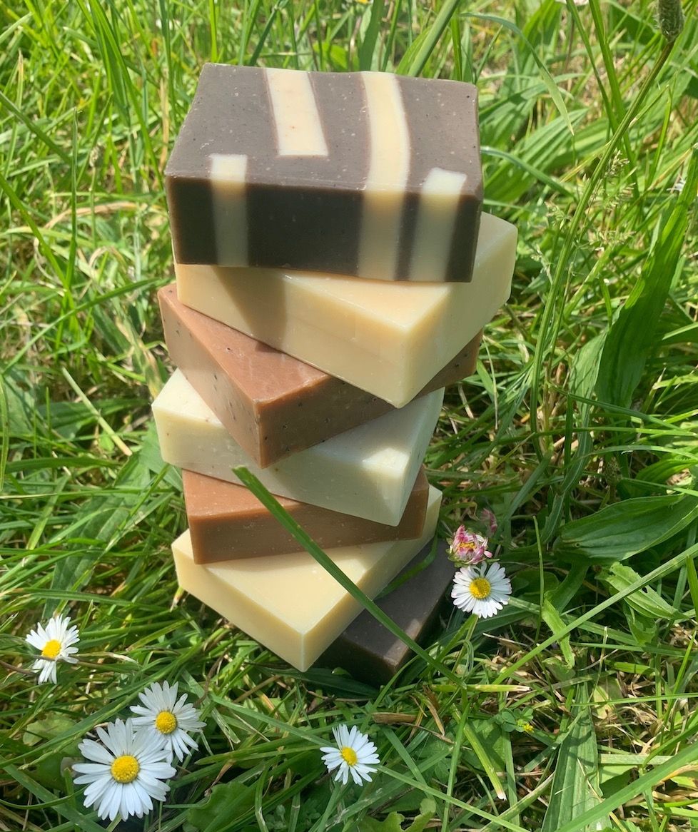 NICOL Pflanzenölseife Sandelholz-Moschus – 12x100 G, Mit Olivenöl & Sheabutter, Für Trockene Haut